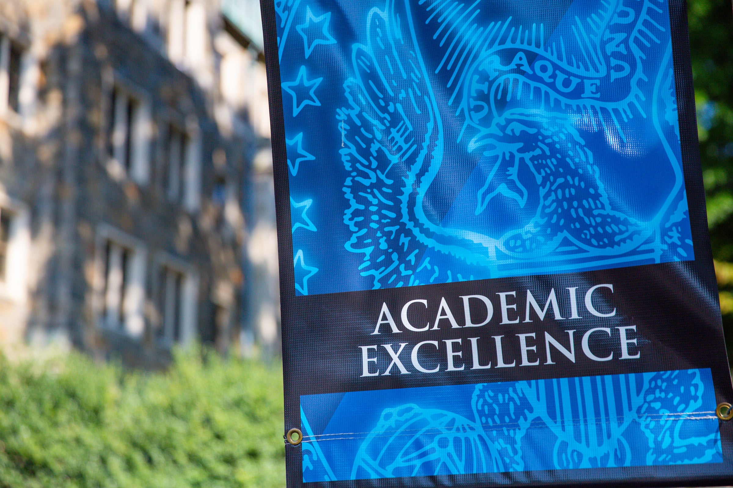 Academic Excellence flag